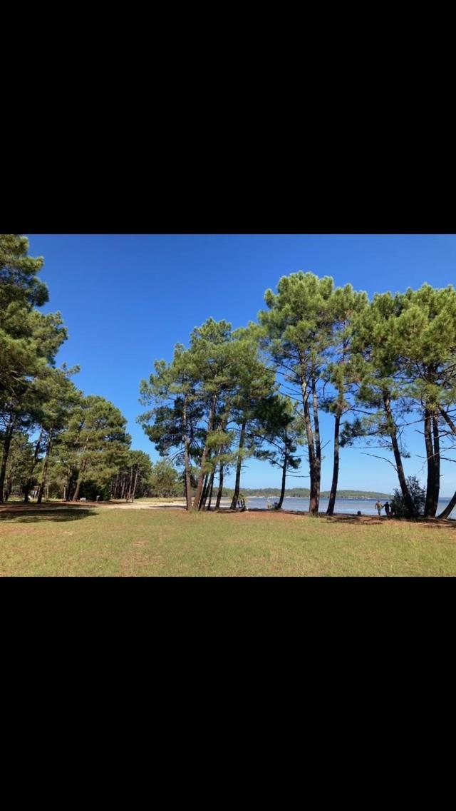 Villa Dune Biscarrosse Εξωτερικό φωτογραφία