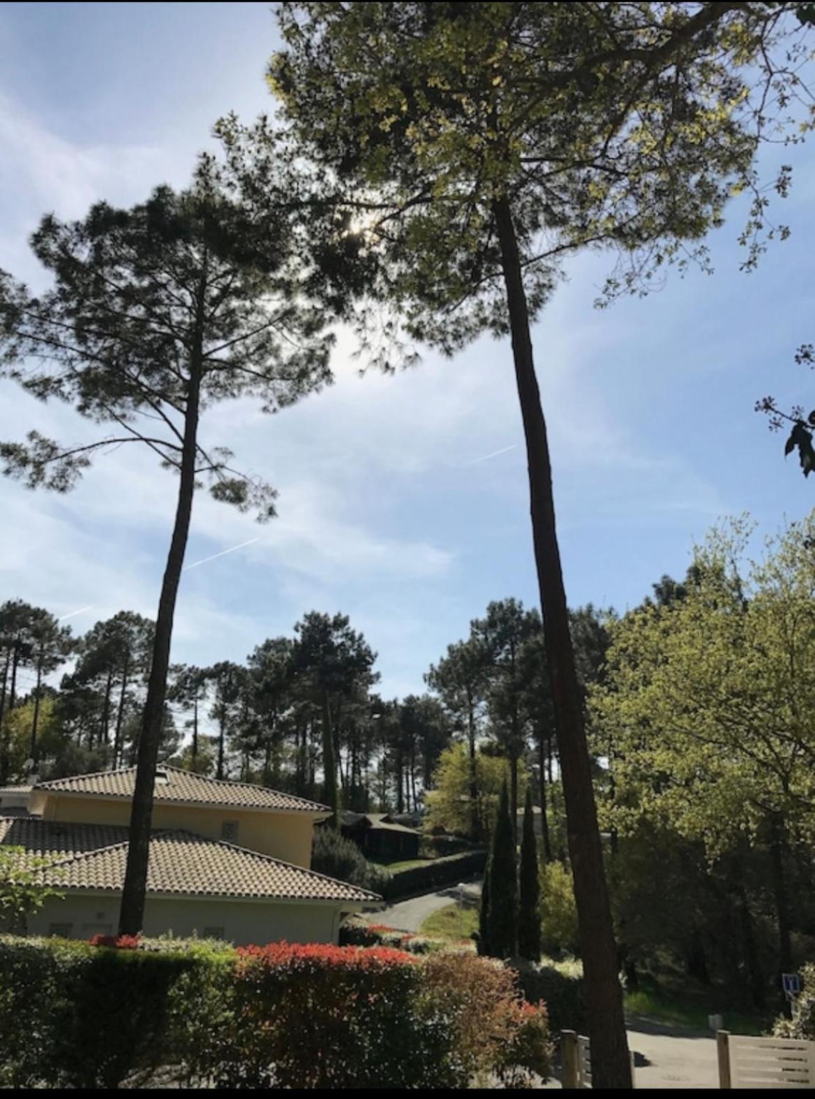 Villa Dune Biscarrosse Εξωτερικό φωτογραφία